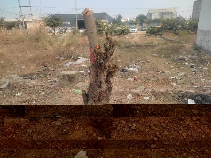 Narayan Vihar Main Image 1