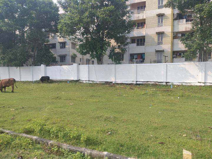 Kattankulathur Main Image 1