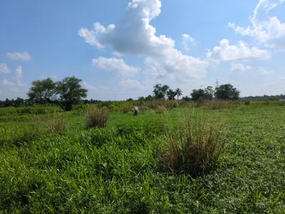 Image of 720 Sq.ft Residential Plot / Land for sale in Wander Valley, Joka, Kolkata for Rs. 255555
