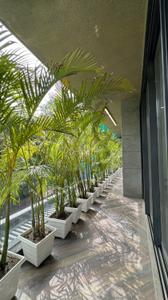 Balcony Image of 3600 Sq.ft 4 BHK Builder Floor for sale in Anand Lok New Delhi for Rs. 160000000