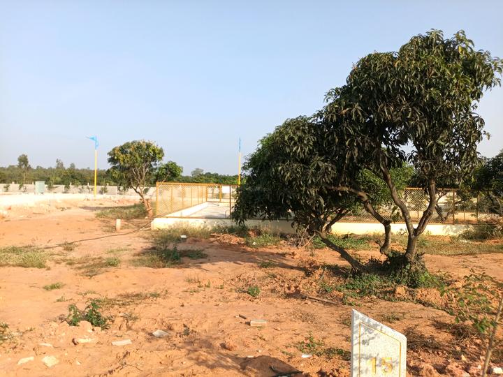 Sreevari Forest Glade Main Image 1