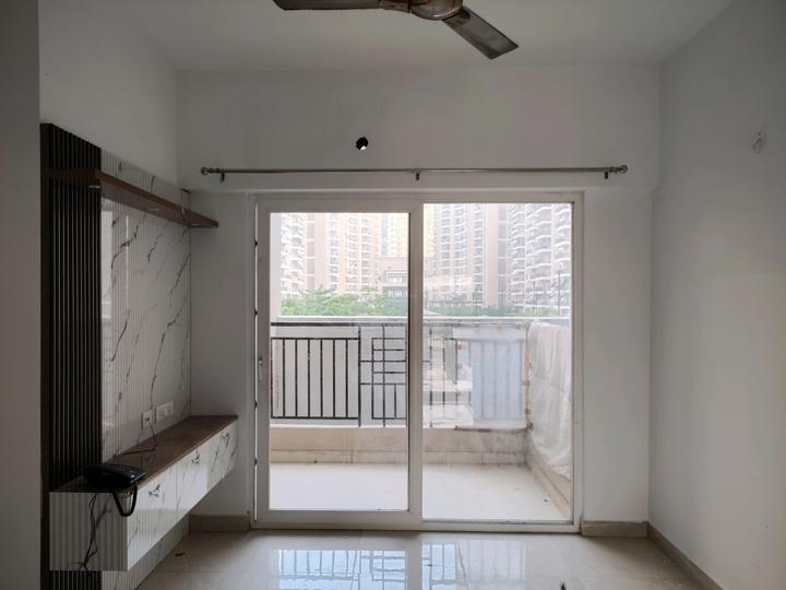 ACE Divino Main Image 1