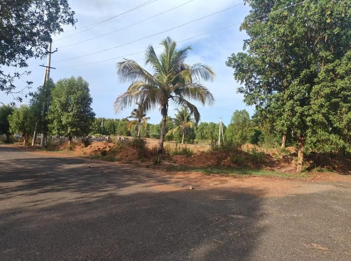 Bhogapuram Main Image 1