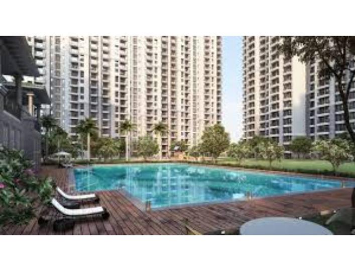 ATS Happy Trails Main Image 1