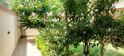 Balcony Image of 3500 Sq.ft 4 BHK Independent House for sale in Vip Road Raipur for Rs. 20000000