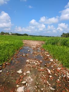 Image of 720 Sq.ft Residential Plot / Land for sale in Nest Valley, Joka, Kolkata for Rs. 195555