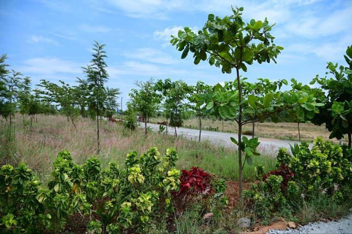SBM Colony, Anthivadi Main Image 1