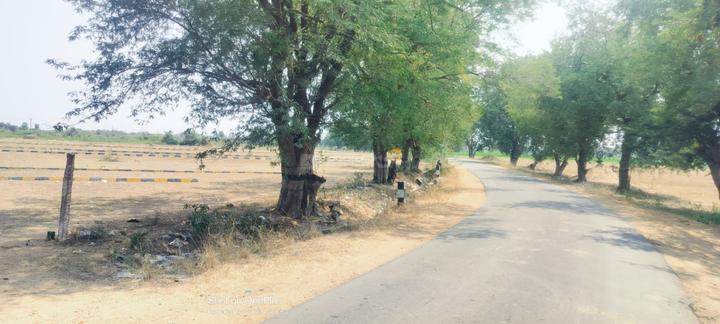 Cheyyar Main Image 1