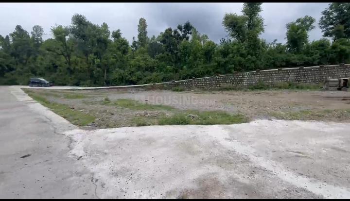 Badasi Greens Main Image 1