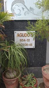 Image of Agudo living in Sector 45, Noida