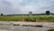 V S Reddy Colony, Kadugodi Plot View 2