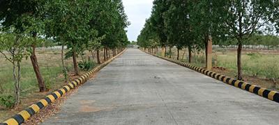 Residential Plot