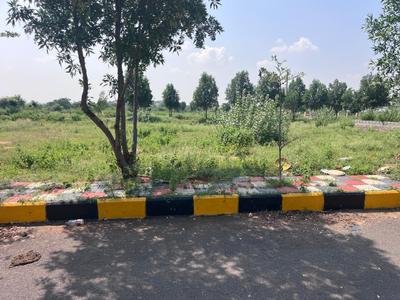 Residential Plot