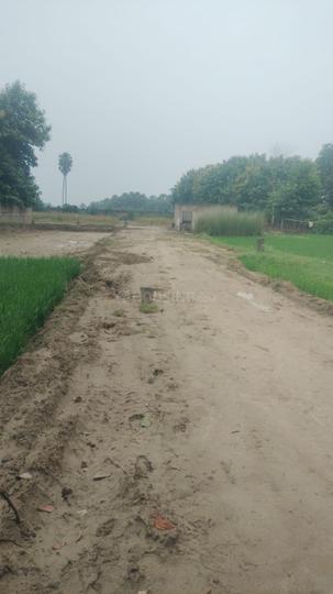 Paijawa Main Image 1