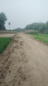Paijawa Plot View 1