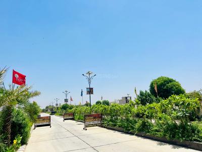 Jaisinghpura Plot View 1