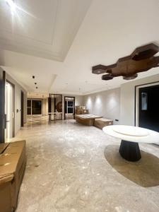 Hall Image of 4680 Sq.ft 4 BHK Builder Floor for sale in Palam Vihar Gurgaon for Rs. 40000000