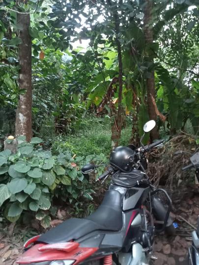 Guruvayur Main Image 1