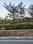 Manglam Rambagh Main Image 1