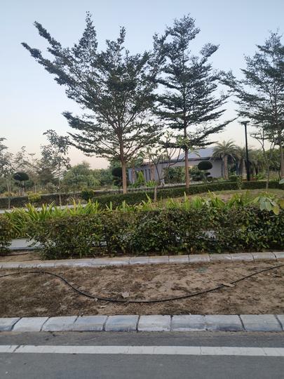 Manglam Rambagh Main Image 1
