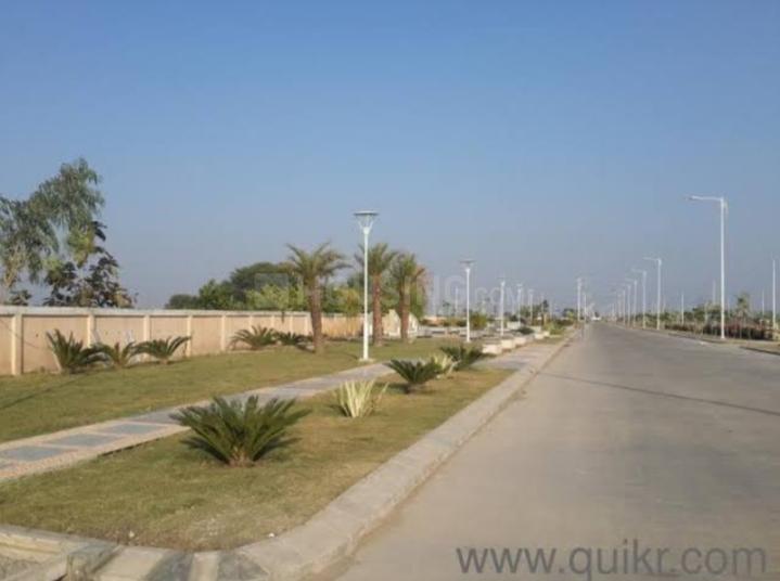 Vibrant Greens Main Image 1