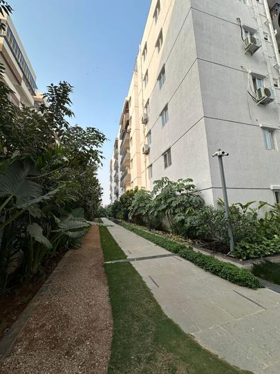 Fortune Green Sapphire Main Image 1