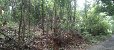 Image of 2711 Sq.ft Residential Plot / Land for sale in Nenmara, Palakkad for Rs. 2500000