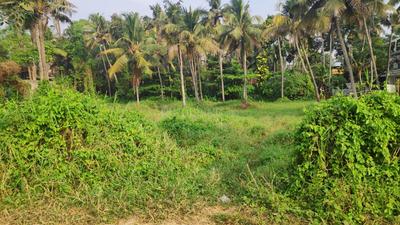 Image of 23084 Sq.ft Residential Plot / Land for sale in Thrippunithura, Kochi for Rs. 900000