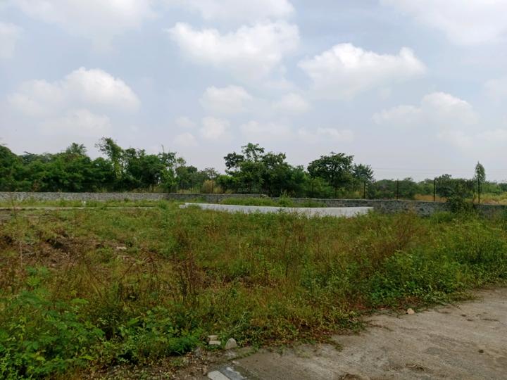 Goldmark Rhythm Main Image 1