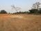 The Orchid Park Main Image 1