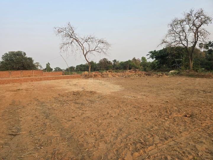The Orchid Park Main Image 1