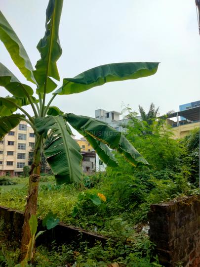 Rajarhat Chowmatha, Rajarhat Main Image 1
