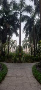 Image of 1549 Sq.ft 3 BHK Apartment / Flat for sale in Belghoria, Kolkata for Rs. 8500000
