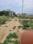 Green City Main Image 1