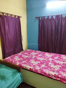 Image of Homely vives in Kasba, Kolkata