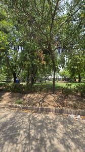 Residential Plot