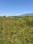 AS Doon City One Main Image 1
