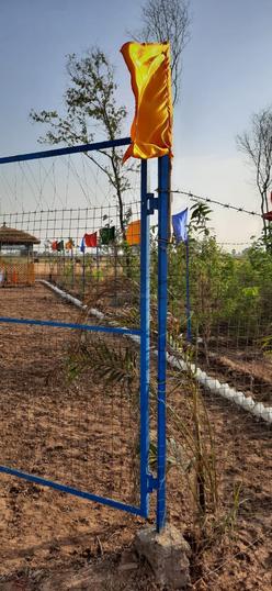 Sapphire city  Main Image 1