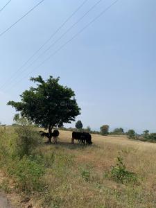Image of 11000 Sq.ft Residential Plot / Land for sale in Bhor, Pune for Rs. 2090000