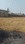 Chuttu Main Image 1