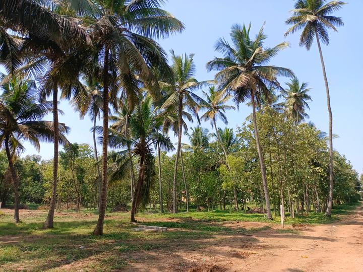 9600 Sqft Residential Plot for sale in Emerald Enclave Hebbal, Mysore