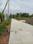 Apparent JB Garden Internal Roads 2