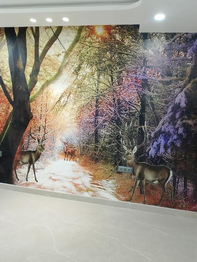 Block E, Shastri Nagar Main Image 1