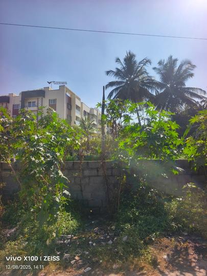 Vision Properties Main Image 1