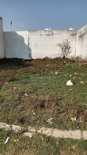 Gomti Nagar Main Image 1