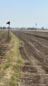 Dumari Plot View 2
