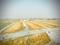 Prem Nagar, Najafgarh More Images 2
