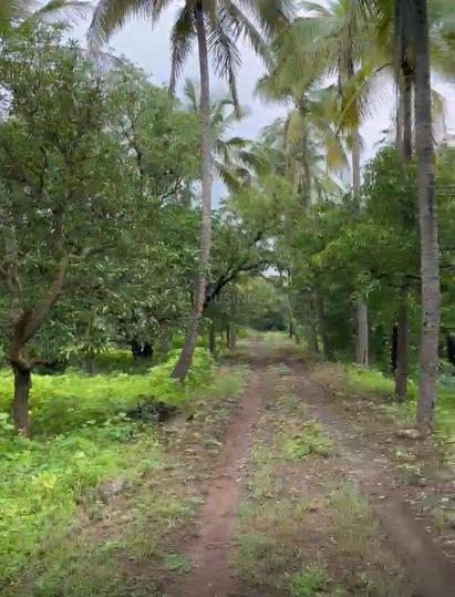 Vikram gadh Main Image 1