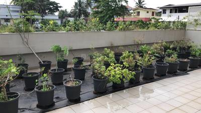Balcony Image of 2300 Sq.ft 3 BHK Apartment / Flat for sale in Asset Le Grande, Vyttila Kochi for Rs. 24000000
