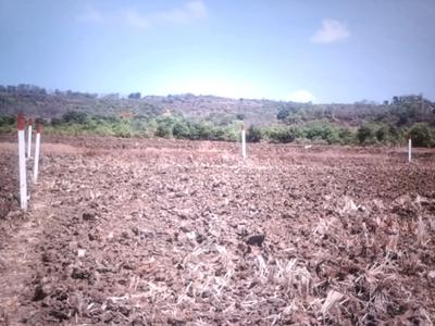 Residential Plot